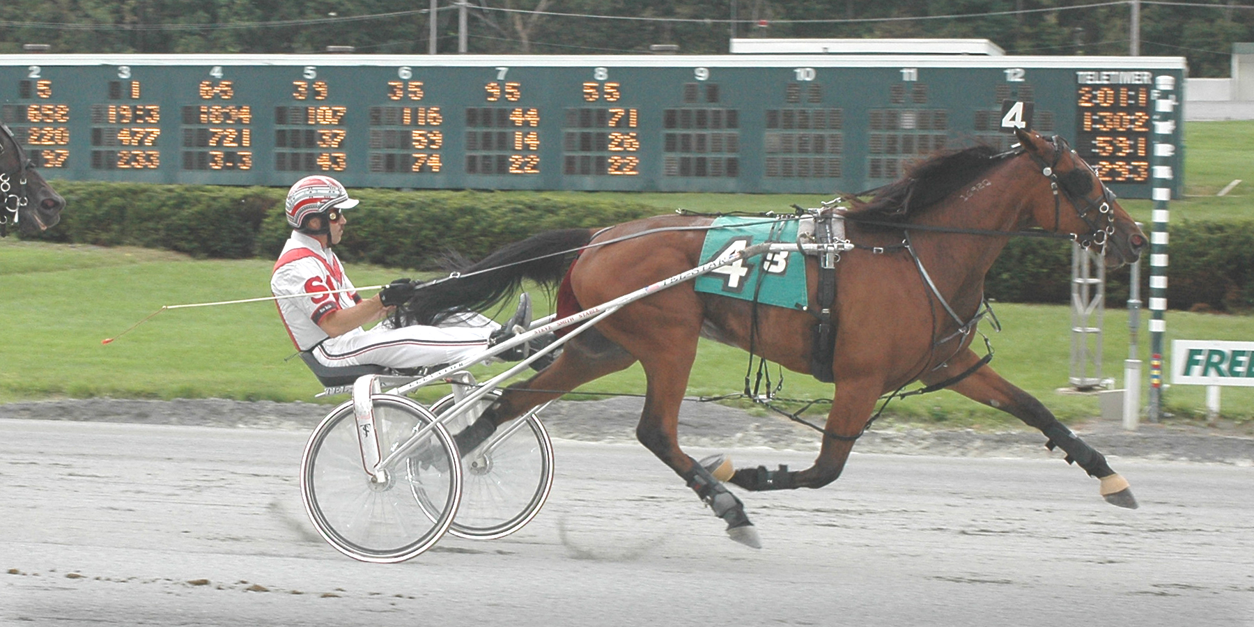 Horseplop Harness Racing Gritty Thrills, Epic Wins!